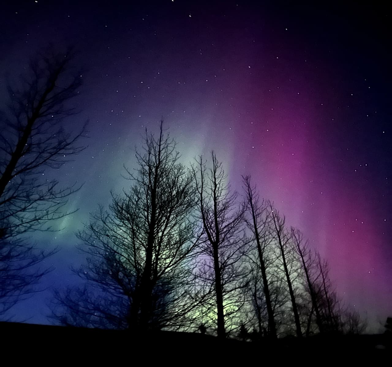 Private Northern Lights Tour – A Magical Arctic Escape