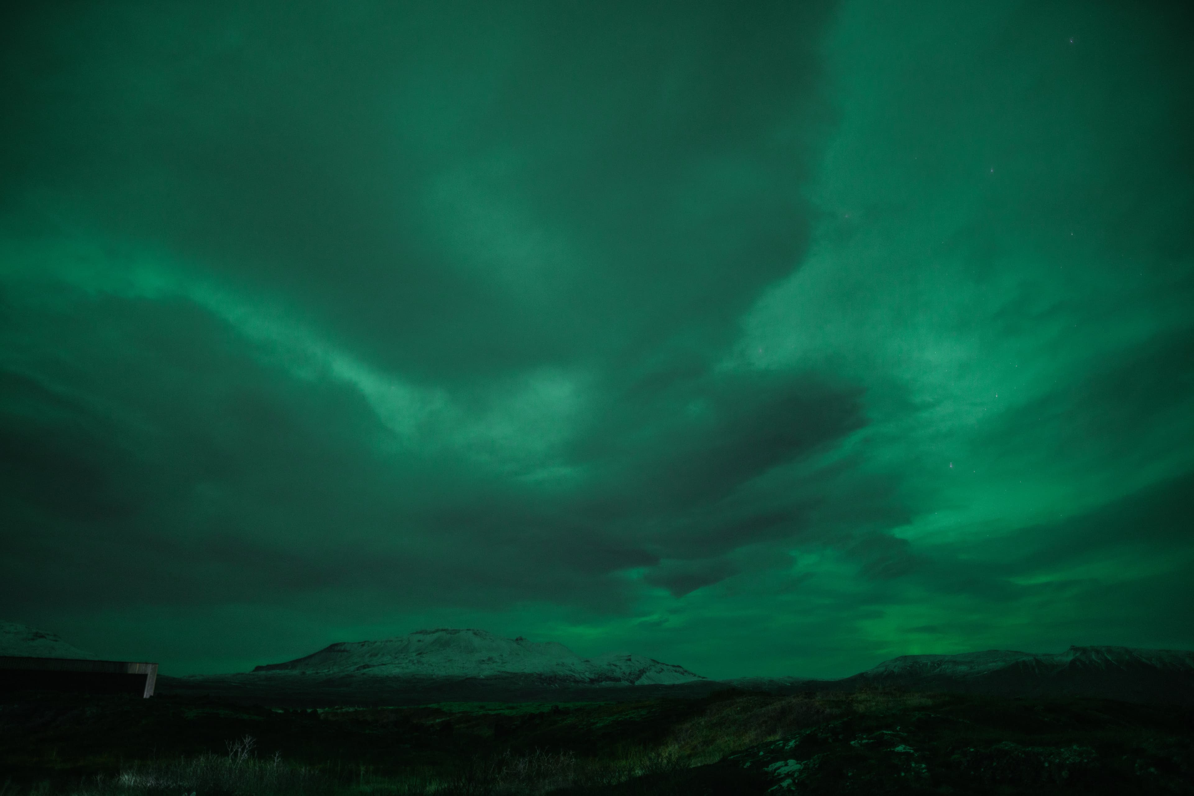 Christmas Day Northern Lights Tour — photo 2