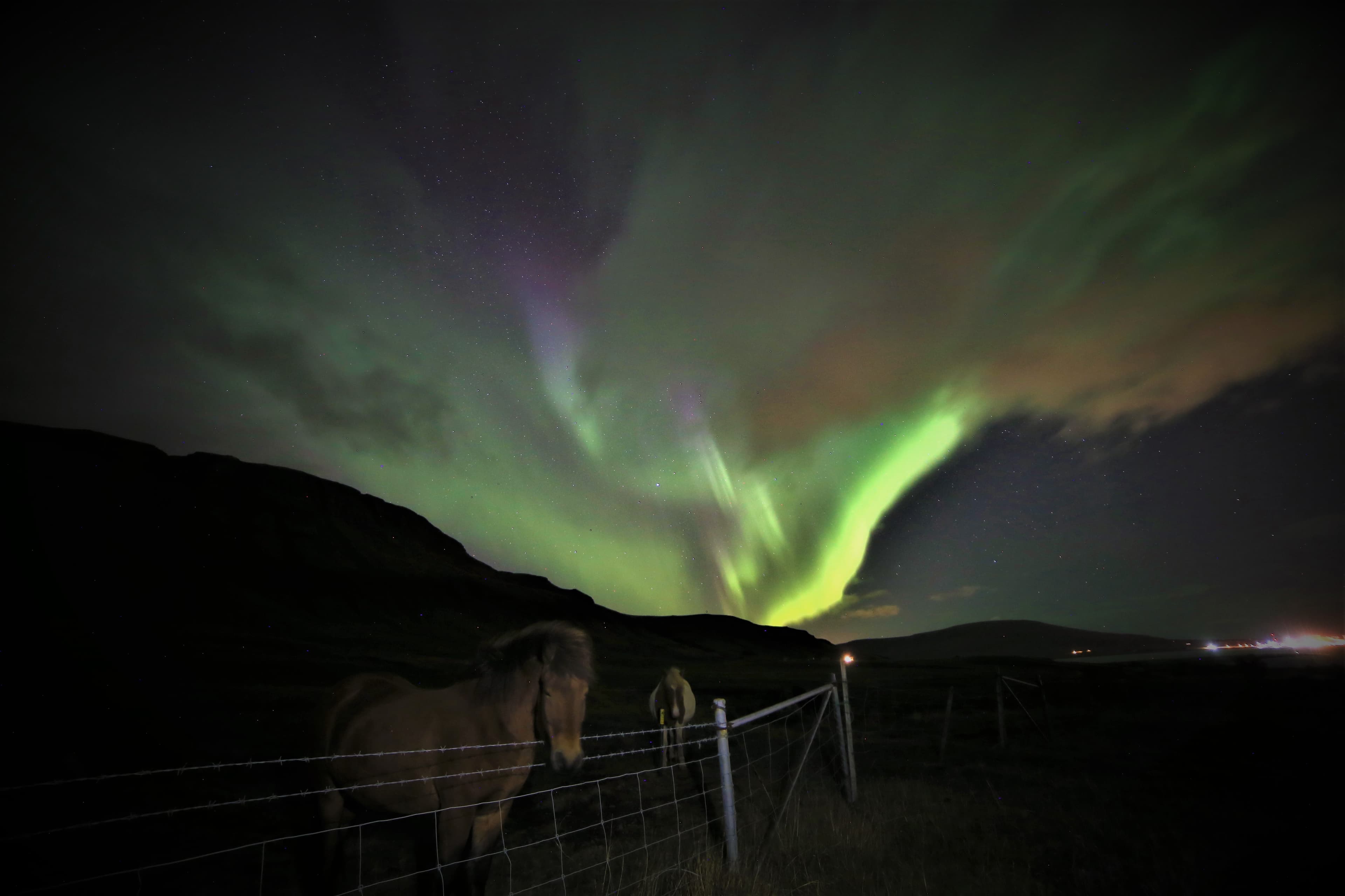 Northern Lights the Viking way - ATV Reykjavik Adventure — photo 2
