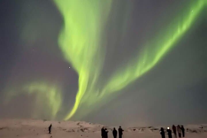 Reykjavik Aurora Borealis Northern Lights Tour — photo 2