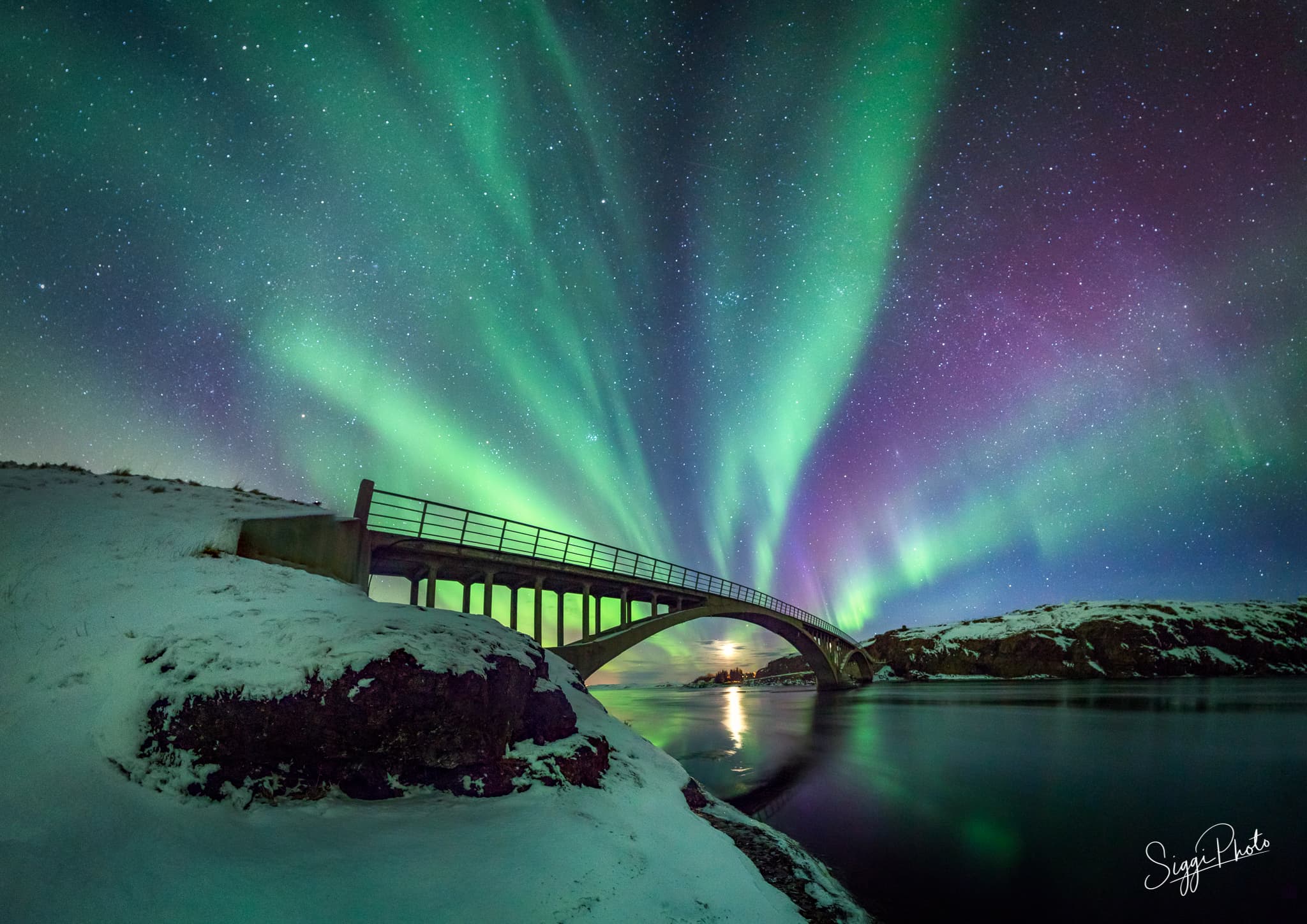 Private Northern Lights Tour 4 hours — photo 3