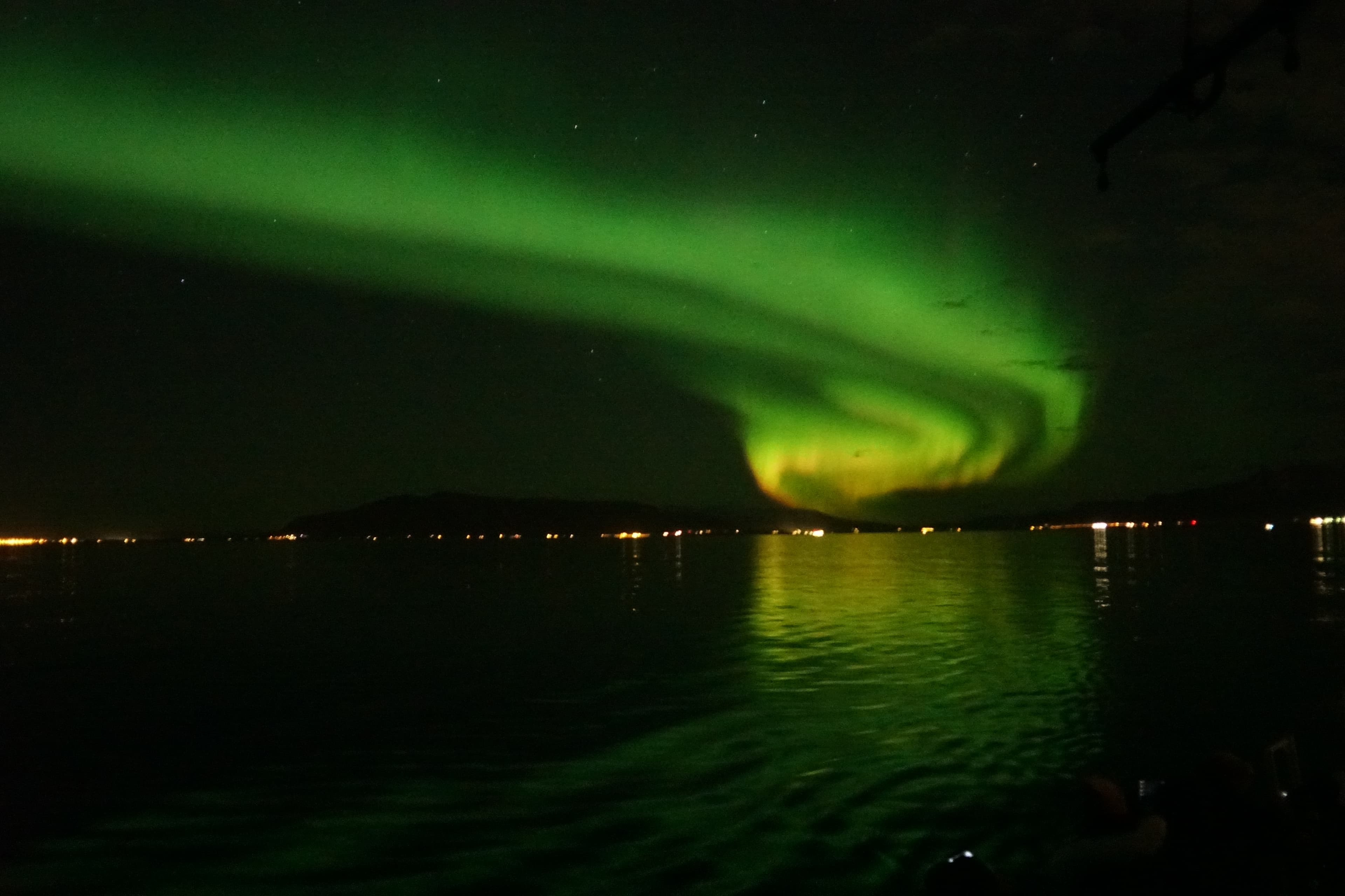 Whale Watching & Northern lights Combo Cruise from Reykjavik — photo 5