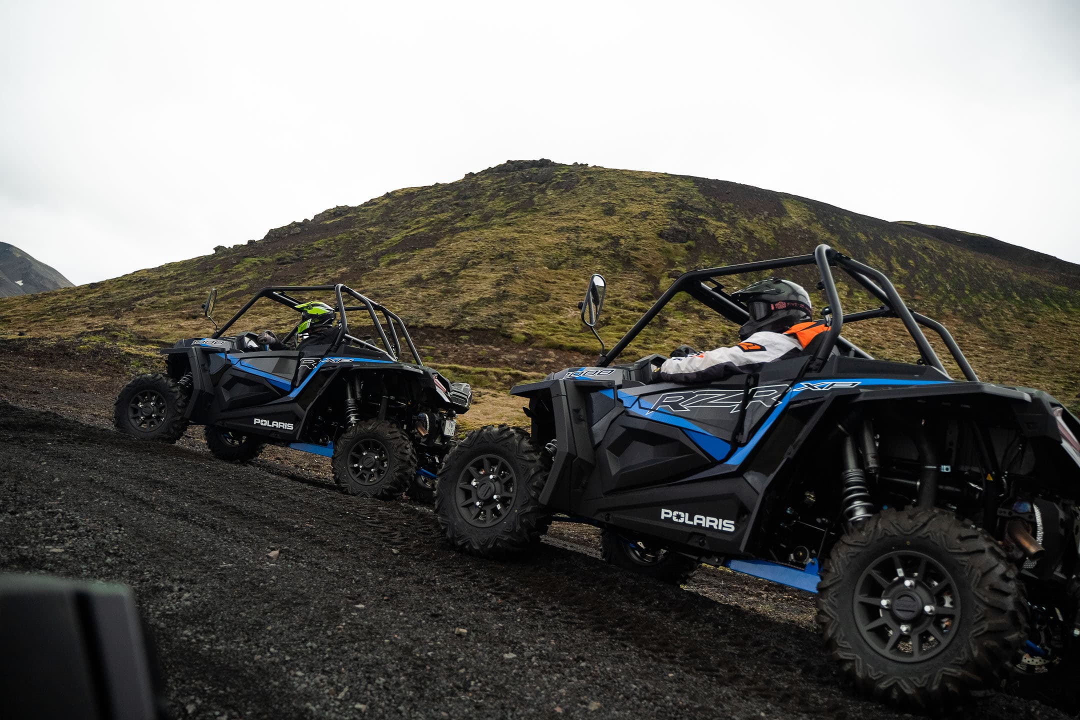 Buggy & Northern Lights — photo 5