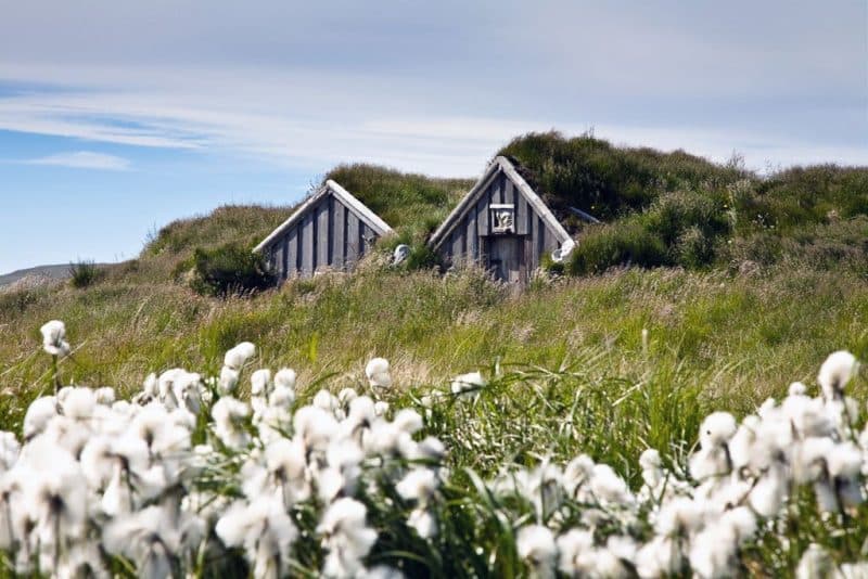 12 Days Combo Northern Lights Secrets - Westfjords & Guided Iceland Circle — photo 3