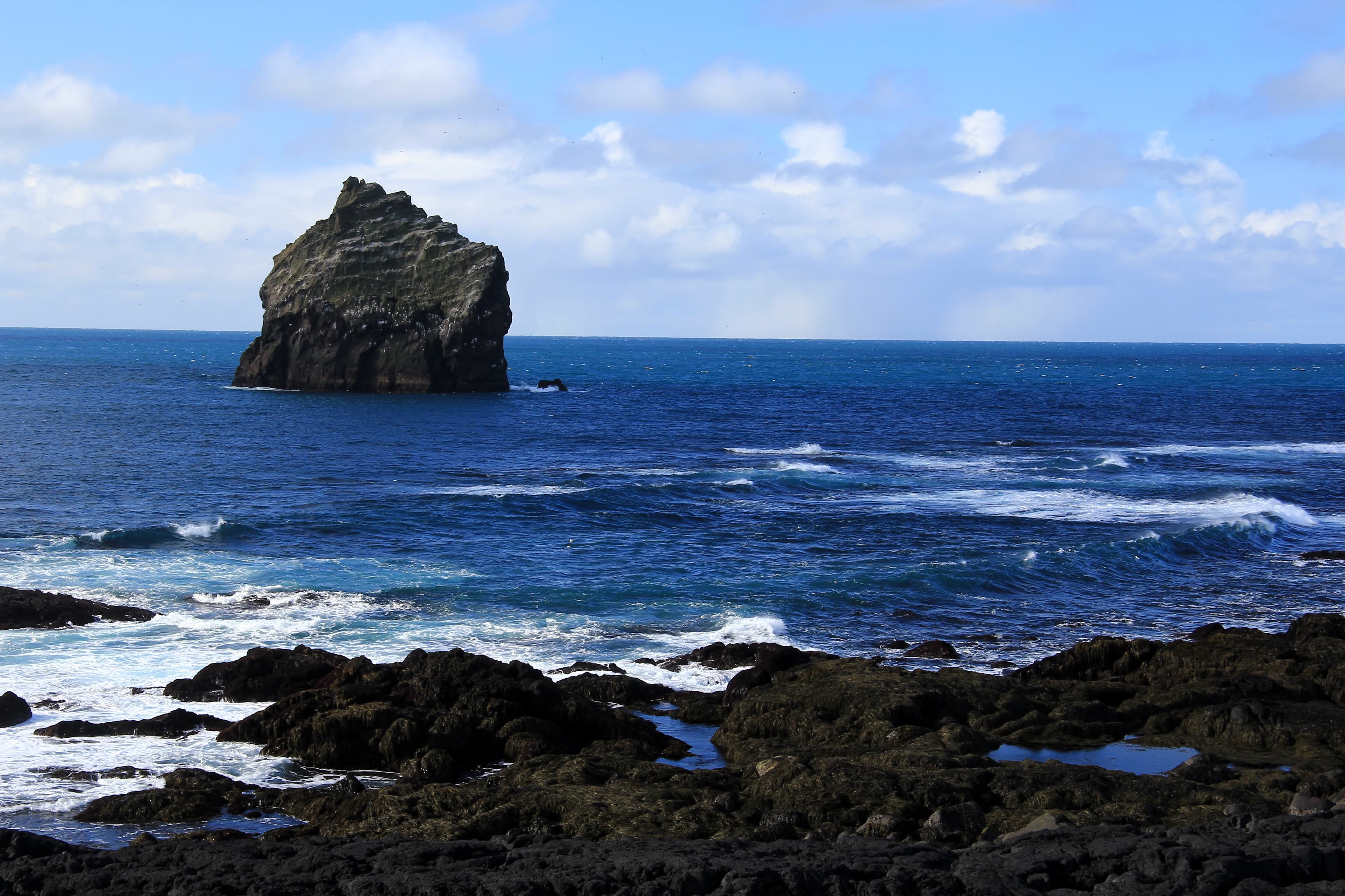 5 Days Christmas & Northern Lights Adventure — photo 4