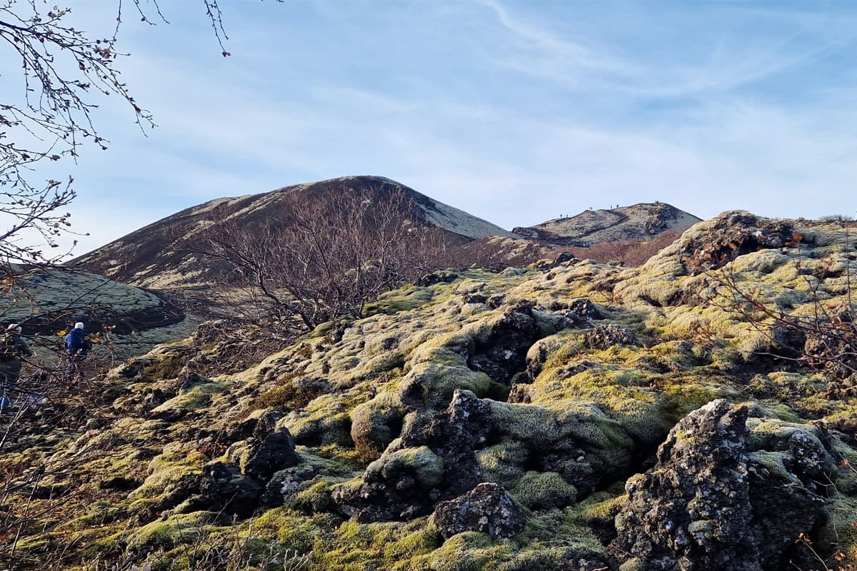 8 Days Guided Iceland Circle & Northern Lights — photo 3