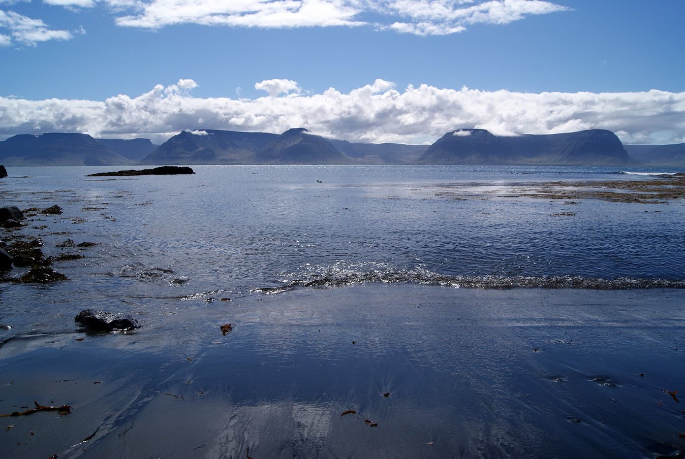 7 Days Northern Lights Secrets - Westfjords — photo 5