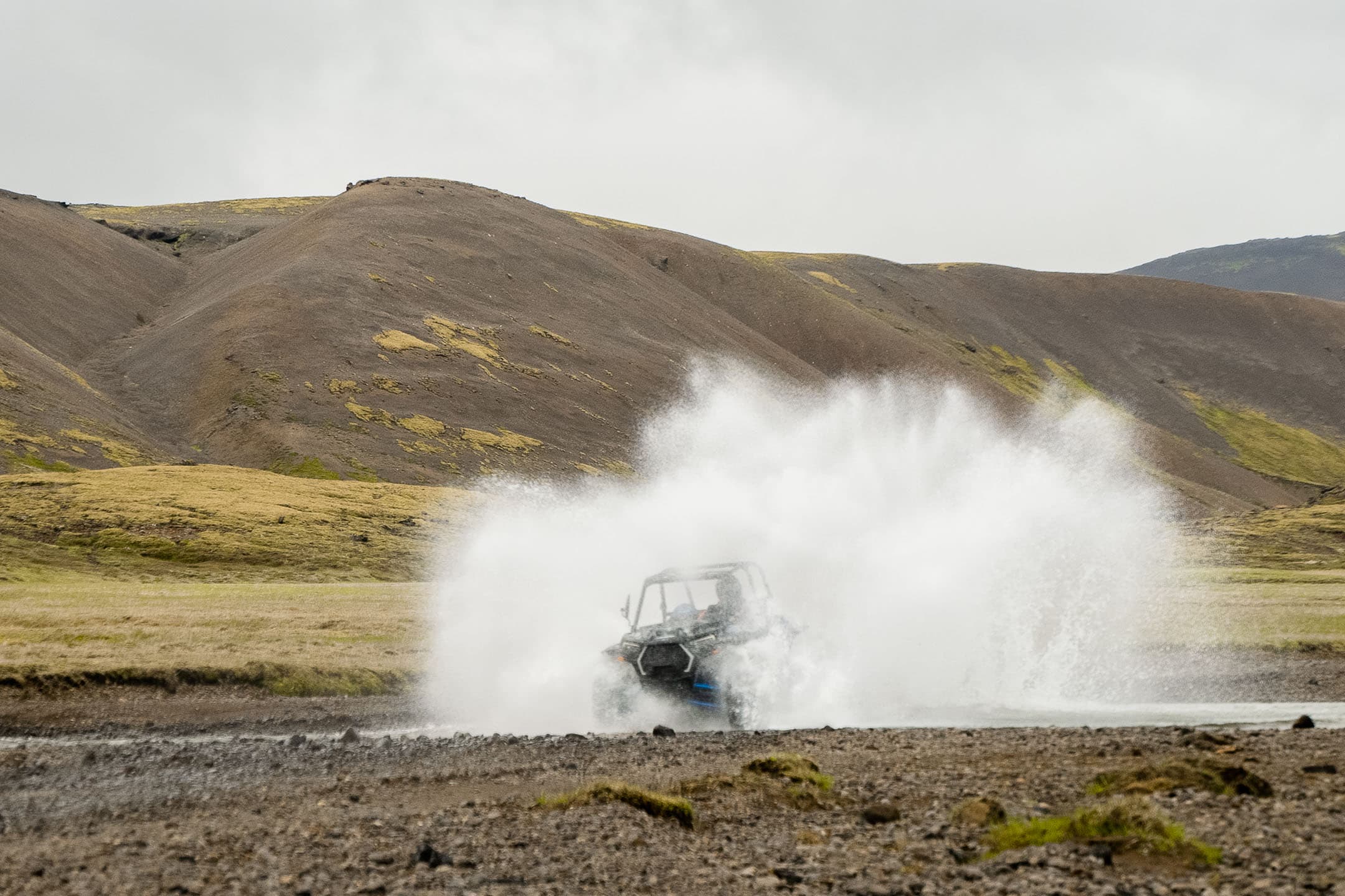 Buggy & Northern Lights — photo 2