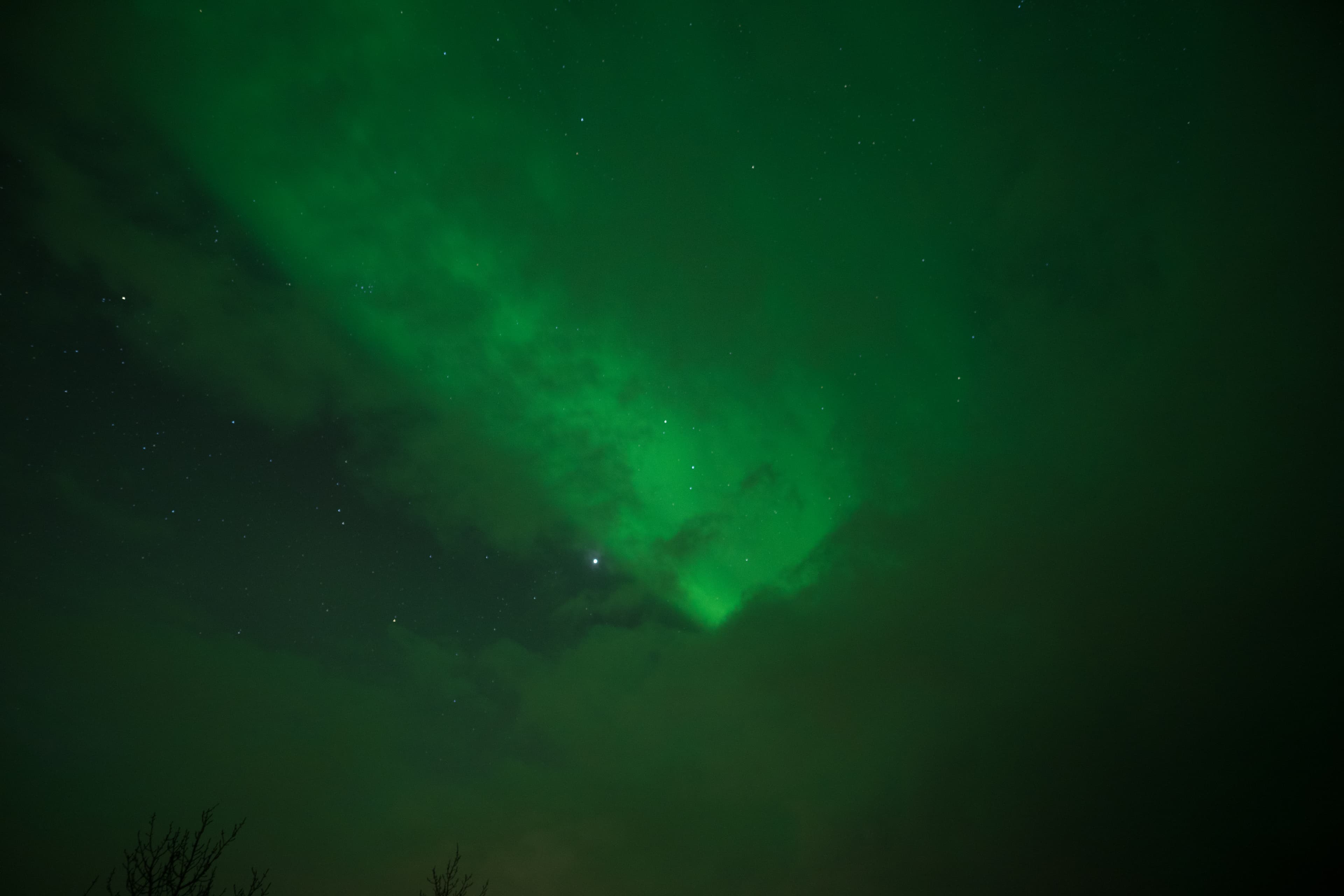 New Years Eve Northern Lights — photo 4